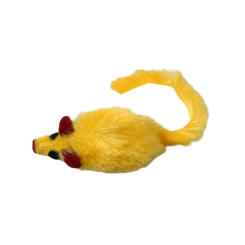 Chuột nhiều màu-DC05