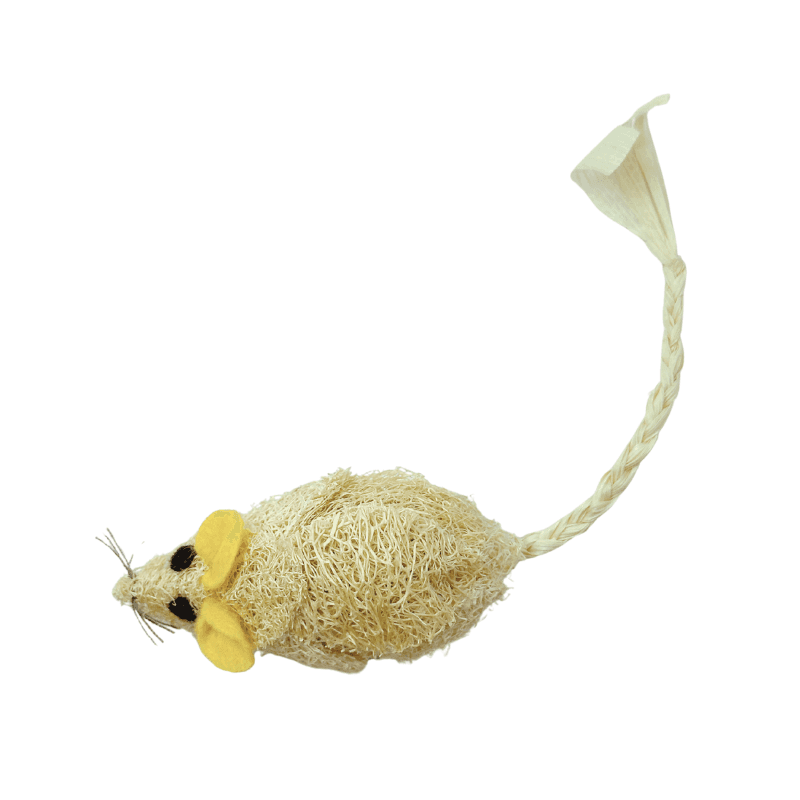 Chuột xơ mướp-DCX07