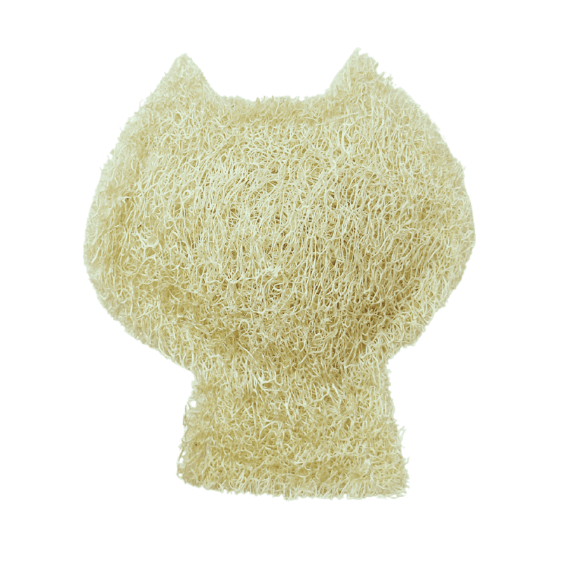 Mèo có thân-DCX01